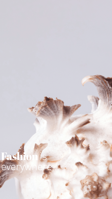 [:it]hedere2024_vfunghi4_Tavola disegno 1[:]