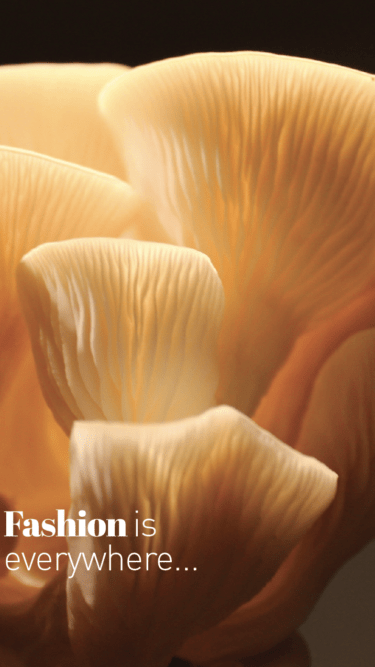 [:it]hedere2024_vfunghi5_Tavola disegno 1[:]
